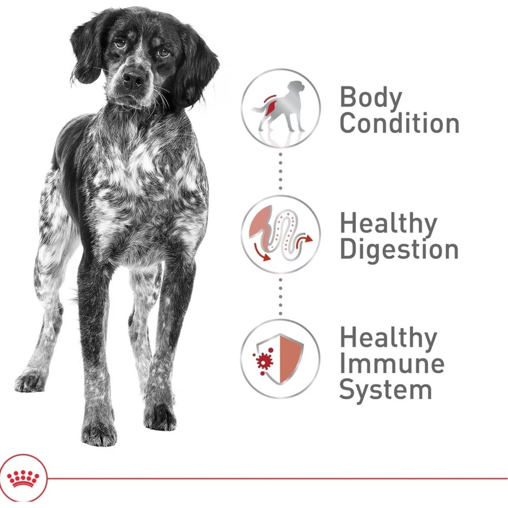 8 lbs. Royal Canin Size Health Nutrition Medium Adult Dry Dog Food, Authentic - Picture 6 of 9
